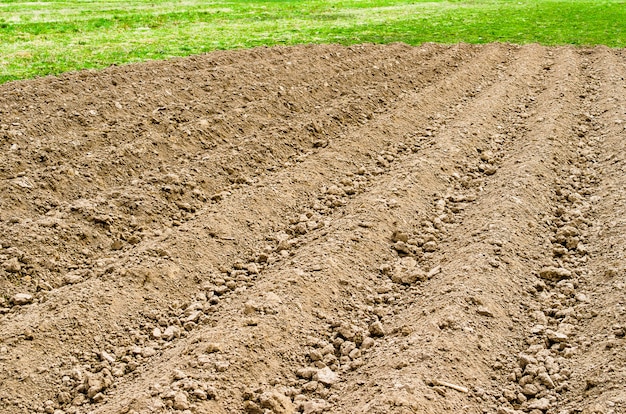 Campo de terra arada em um cenário de país rural, grama de primavera e culturas frescas.