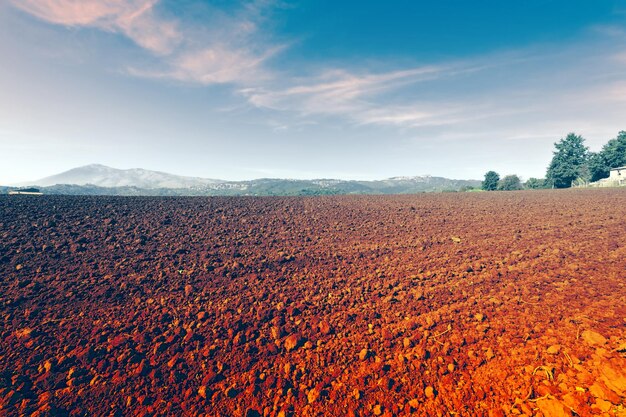 Foto campo de trabalho