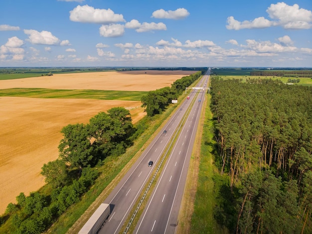 Campo de trigo da vista aérea alta