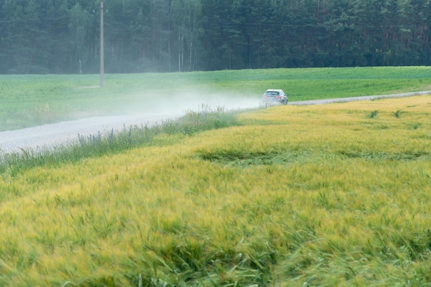 Campo de trigo jovem no fundo da floresta Um carro passando em uma estrada rural ao longo da floresta Nuvens de fumaça do transporte obscurecem um campo ecologicamente limpo com culturas de grãos