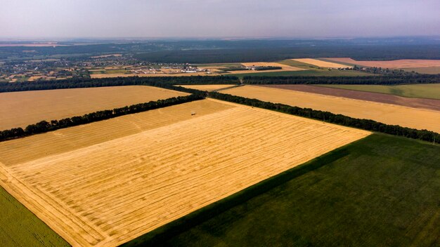 Campo de trigo panorâmico de vista superior diferentes campos agrícolas