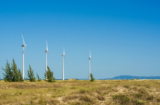 Campo de vento com turbinas eólicas produzindo energia eólica