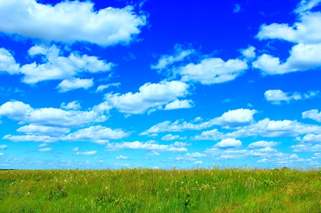 campo de verão de grama e céu azul com nuvens brancas grama verde no prado