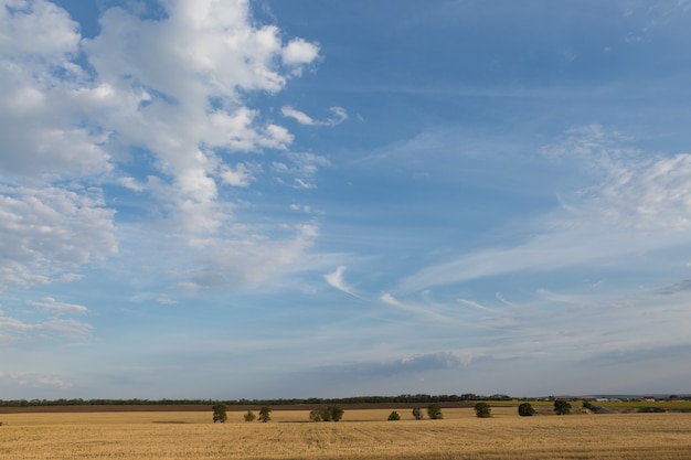 Campo después de la cosecha por la mañana.