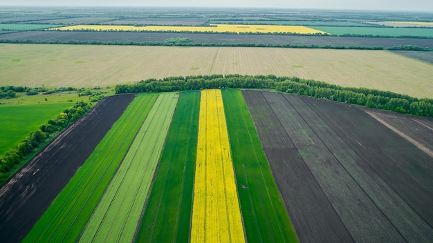 Campo de diferentes cultivos disparando desde un dron