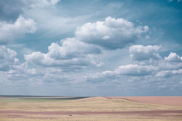 Campo do dia. Minimalismo