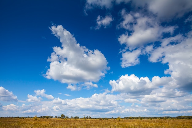 Campo e céu azul