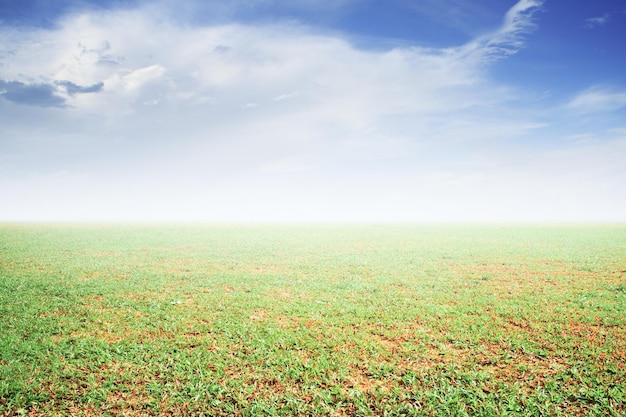 Campo e fundo do céu