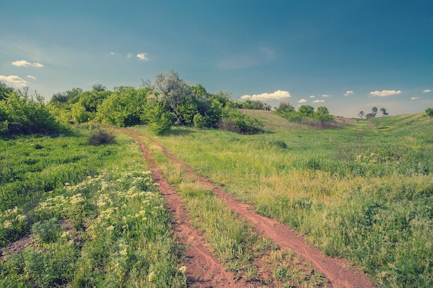 Campo em um fundo do céu