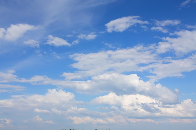 Campo em um fundo do céu