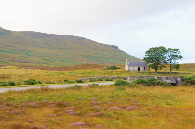 Campo escocés del canal del camino. Camino en perspectiva. Panorama de Escocia