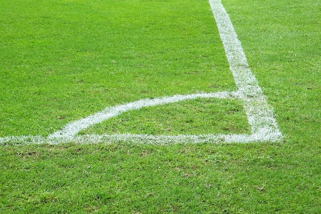 Campo de la esquina de fútbol. Hierba verde con línea blanca.