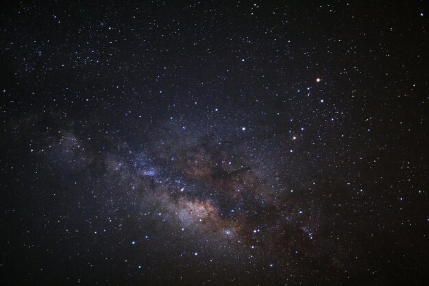 Campo de estrellas contra el cielo por la noche