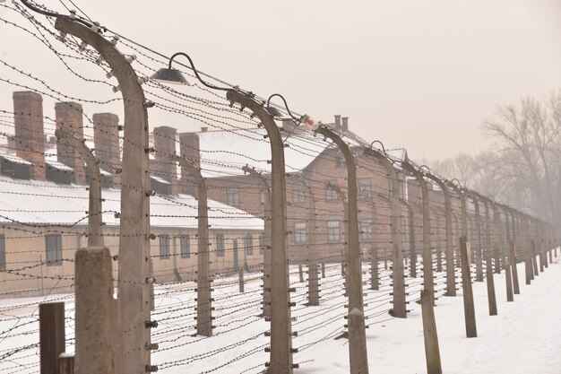 Campo de exterminio de Auschwitz