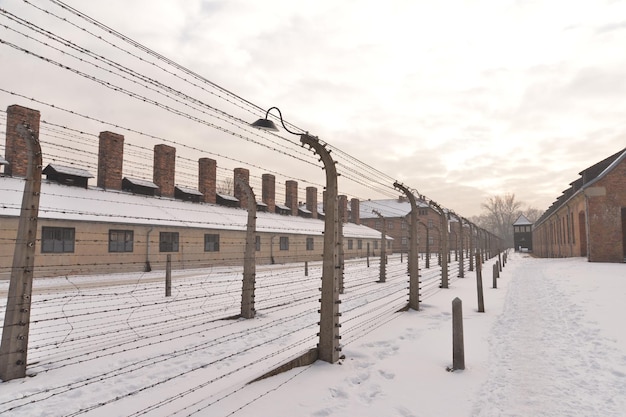 Campo de exterminio de Auschwitz