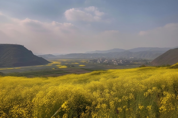 Un campo de flores amarillas en un campo con un pueblo al fondo.