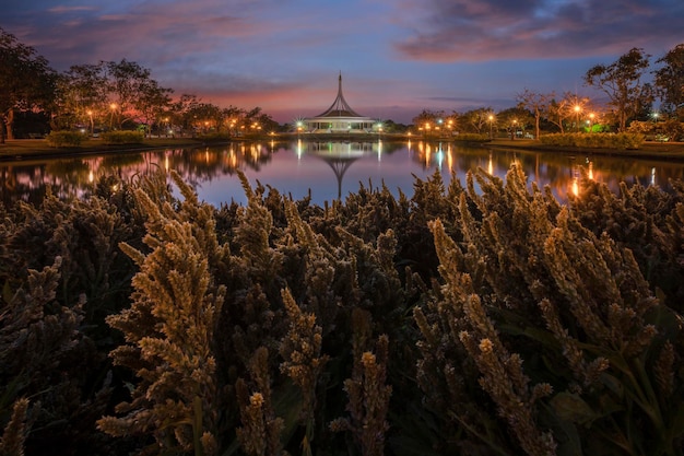 Campo de flores de invierno, hermoso edificio con reflejo en el fondo del cielo crepuscular contra la laguna en el parque público, Suanluang Rama 9, Tailandia.