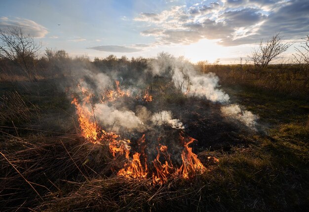 Campo con fuego quemando hierba seca humo y cenizas bajo un cielo azul con nubes Cielo nublado sobre un territorio cubierto de hierba en llamas Concepto de ecología peligro de incendio y problemas ambientales