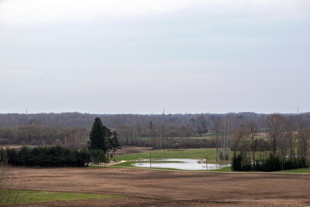 Un campo con una fuente de agua y un campo al fondo