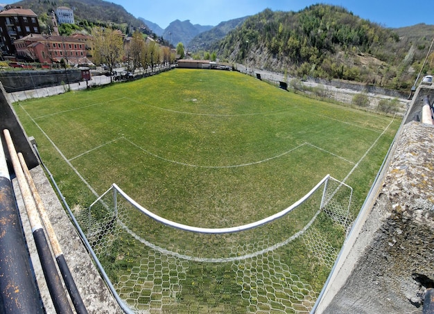 Campo de fútbol de campo hierba verde con flores amarillas