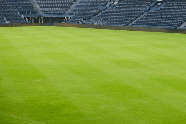 Campo de fútbol de campo de hierba.