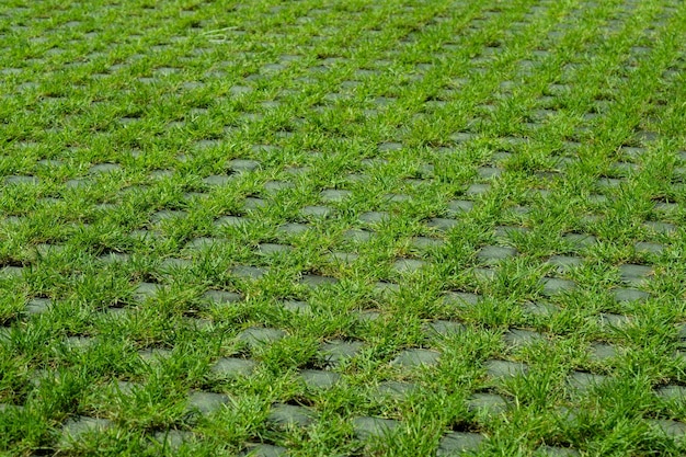 Campo de fútbol de fondo de hierba verde