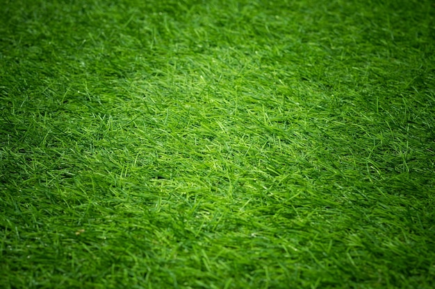 Campo de fútbol de fondo de hierba verde