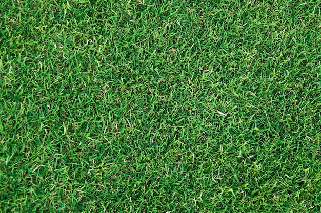 Campo de fútbol hierba verde patrón textura fondo hierba textura para el fondo