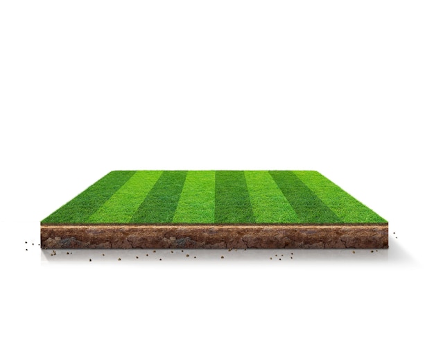 Campo de fútbol con hierba verde pedazo de tierra isométrico con postes de gol y líneas ilustración 3d
