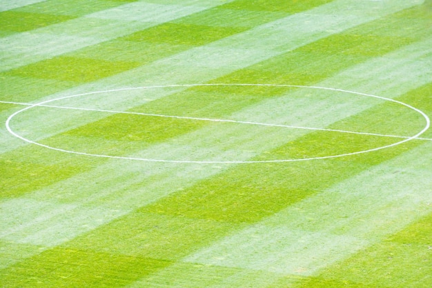 Campo de fútbol soccer verde