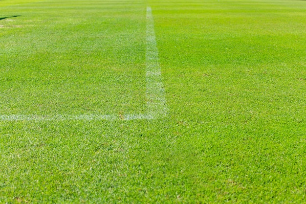 Foto campo de fútbol