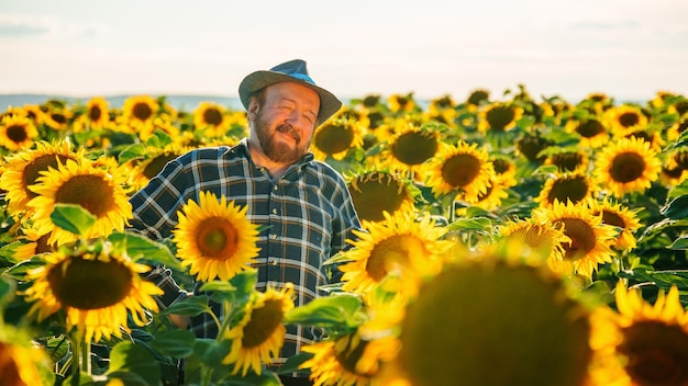 en el campo de girasoles hay un contentado viejo granjero barbudo con un sombrero y mirando a la cámara el granjero masculino muy atractivo en la camisa cuadrada y sombrero en el espacio de copia de campo