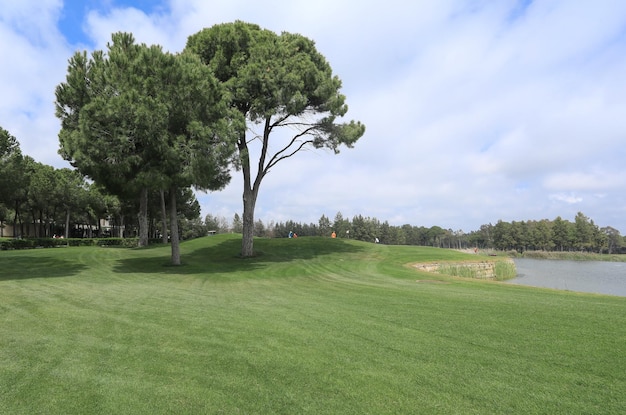 campo de golf con bosque y estanque