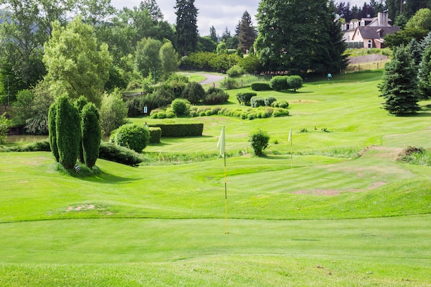 Campo de golf en el campo.