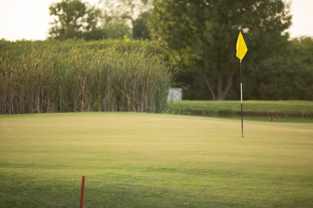 Foto campo de golf