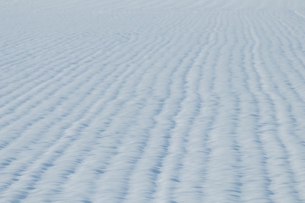 Campo de grano cubierto de nieve. Campo de agricultura bajo la nieve.