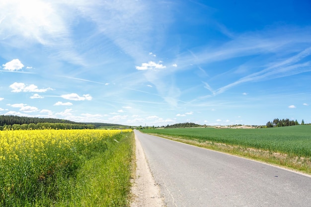 Campo de hermosa flor dorada primaveral de colza con canola colza de cielo azul en latín Brassica napus con camino rural y hermosa colza de nube es planta para la industria verde