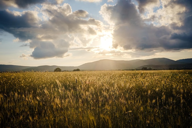 Campo durante una hermosa puesta de sol con nubes dramáticas en el cielo