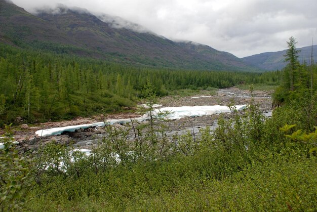 El campo de hielo en la marea del río de montaña