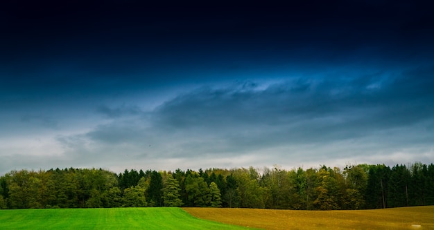 Campo de hierba y área agrícola en Suiza