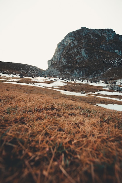 Campo de hierba y montaña