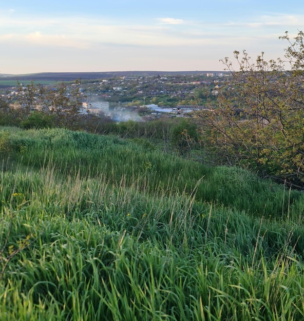 Un campo de hierba con un pequeño pueblo al fondo.