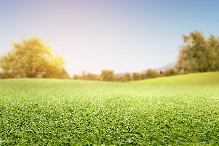 Foto campo de hierba verde con árboles