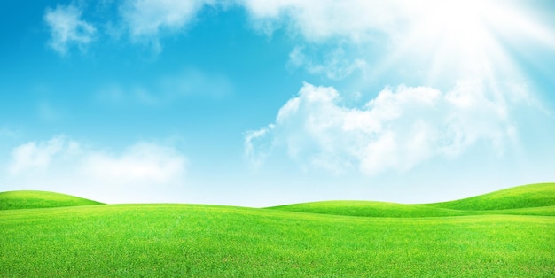 El campo de hierba verde y el cielo azul claro