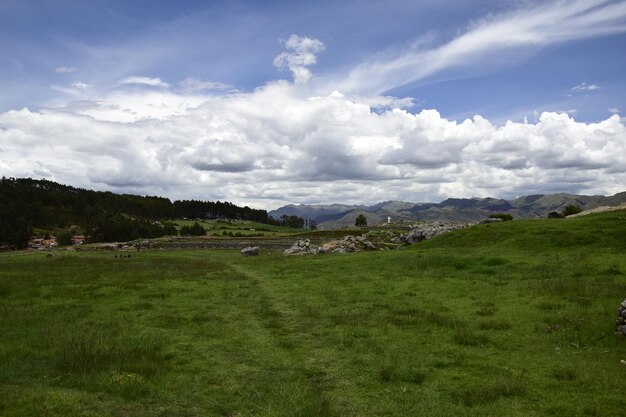 Un campo con hierba verde frente a las ruinas incas de Saqsaywaman cerca de Cusco