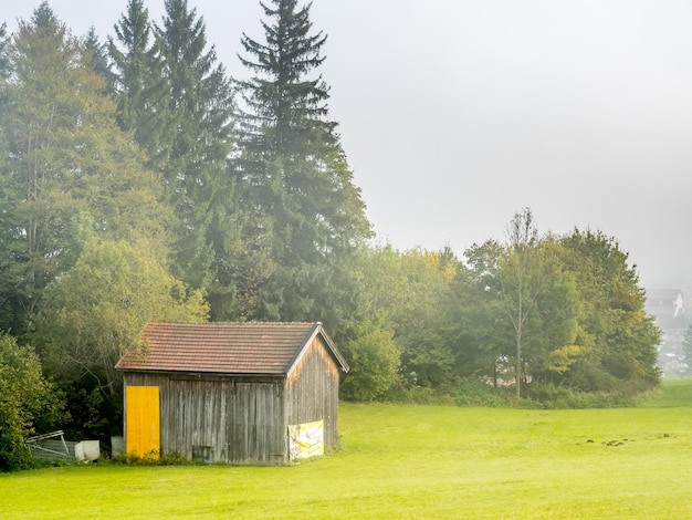 Campo de hierba verde por la mañana en Oberammergau