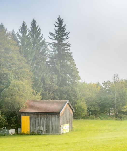 Campo de hierba verde por la mañana en Oberammergau