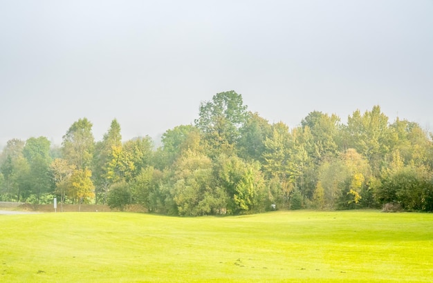 Foto campo de hierba verde por la mañana en oberammergau