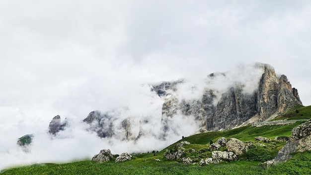 Campo de hierba verde con montañas al fondo