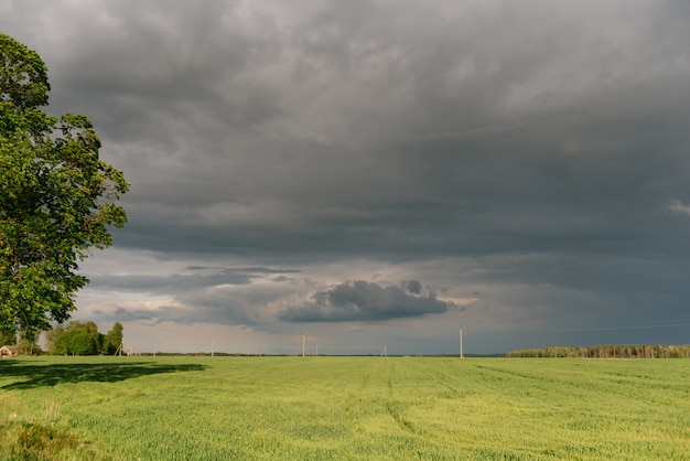 Campo con hierba verde y nubes antes de la lluvia